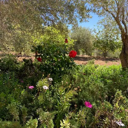 Can Tierra Roja Santa Gertrudis (Ibiza)